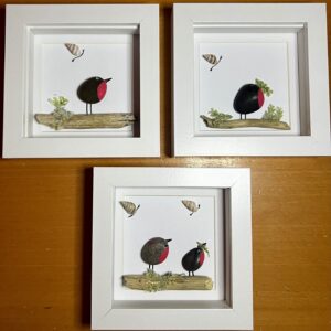 Robins and Butterflies