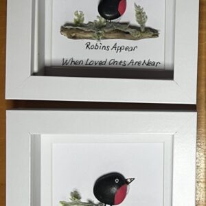 Robins Appear - 1 Robin